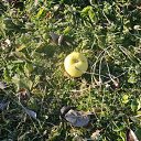  , , 75  -  27  2021    -    .    !