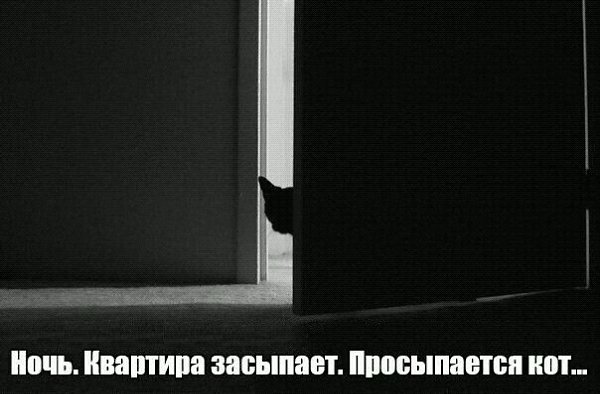    - 18  2021  13:11