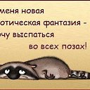 ���� ���������, ����������� - ��������� 21 ��� 2021 � ������ ���� ����������