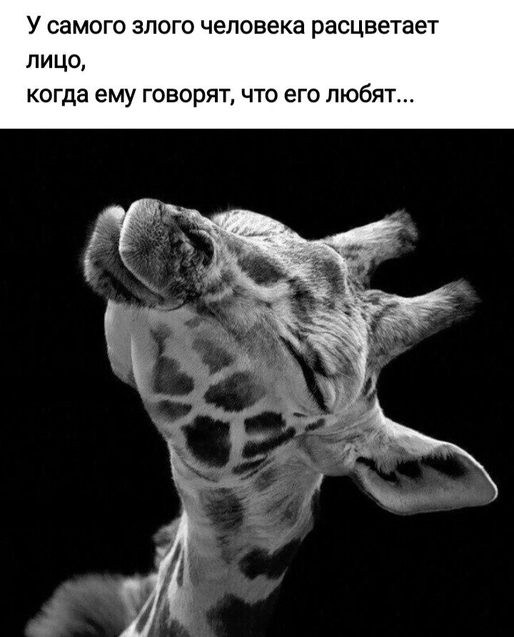 ***Victoria Viktorovna*** - 1  2021  01:16