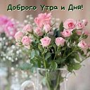 ���� �����, �����-���������, 53 ���� - ��������� 1 ������� 2021 � ������ ���� ����������