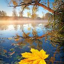 ���� ����, �������, 70 ��� - ��������� 29 ������ 2021 � ������ ������ ��������