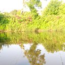 ���� Tadeusz, �����, 63 ���� - ��������� 13 ���� 2021 � ������ ������ ��������