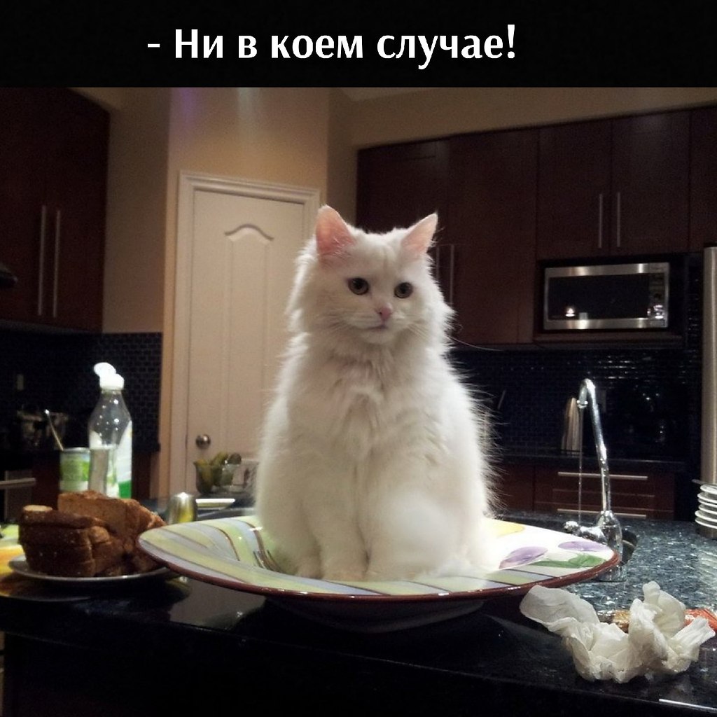       - 17  2021  22:04 - 2