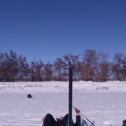 ���� ����, �����, 61 ��� - ��������� 5 ������ 2022