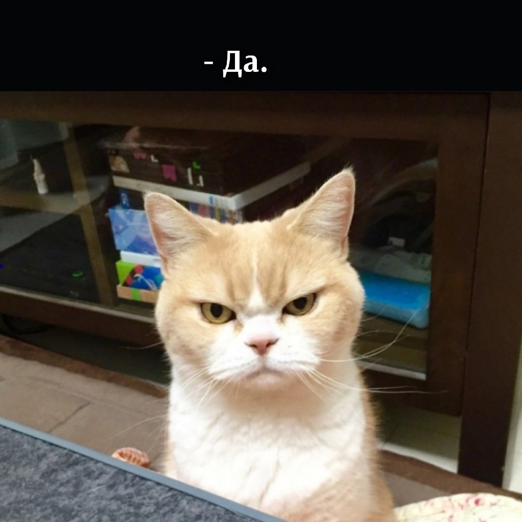       - 8  2021  22:36 - 2