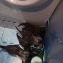 ���� ������� ����������, ������ �����, 45 ��� - ��������� 3 ������ 2022 � ������ ������� �����, ������, �������� � �����������