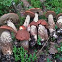 ���� �����, �����-���������, 63 ���� - ��������� 4 �������� 2021 � ������ ������ ��������