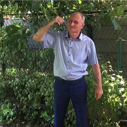 ���� ������, ���������, 52 ���� - ��������� 29 ������ 2022