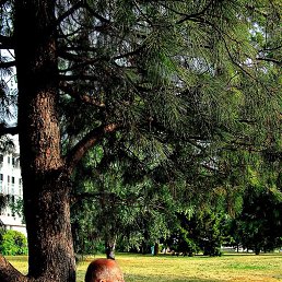 �������, ������, 60 ���