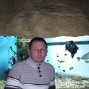 ���� �������, ������������, 43 ���� - ��������� 6 ������ 2021 � ������ ���� ����������