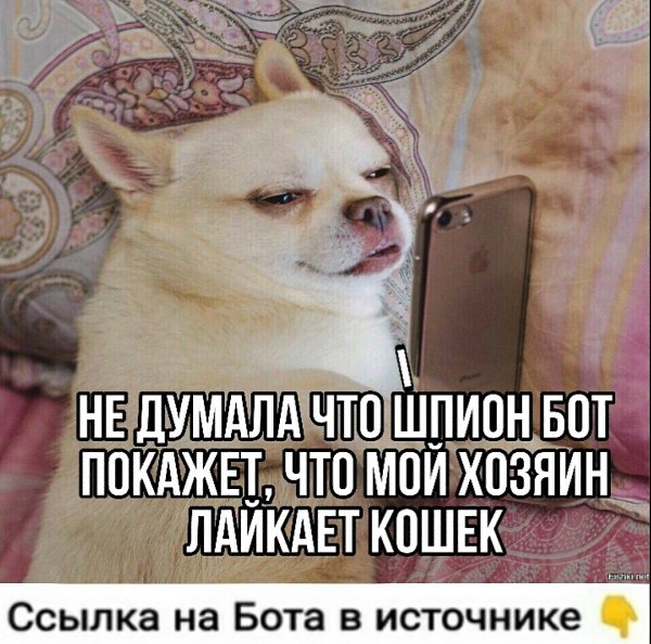   - 3  2021  15:34