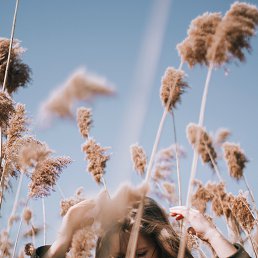 �������, ����-���������