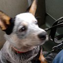 ���� ����, �����-��������� - ��������� 28 ������ 2022 � ������ ���� ����������