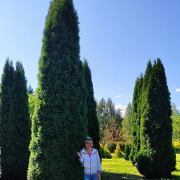 ���� ���������, �������, 56 ��� - ��������� 7 ������� 2021