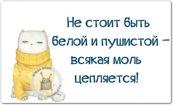   - 11  2021  21:52