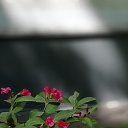 ���� ���������, ������, 56 ��� - ��������� 19 ������ 2021