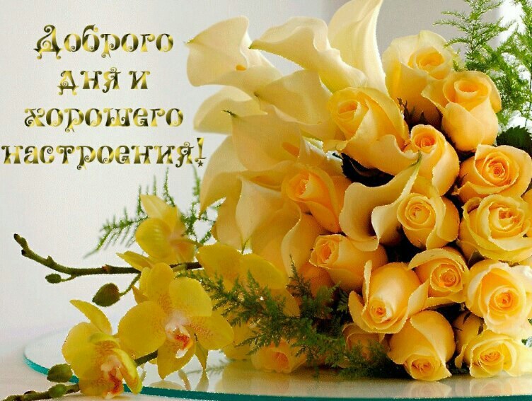   ,    . - 29  2021  13:53 - 8