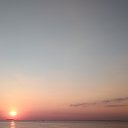  , -, 56  -  11  2021    