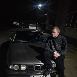 ������, ���������, 37 ���