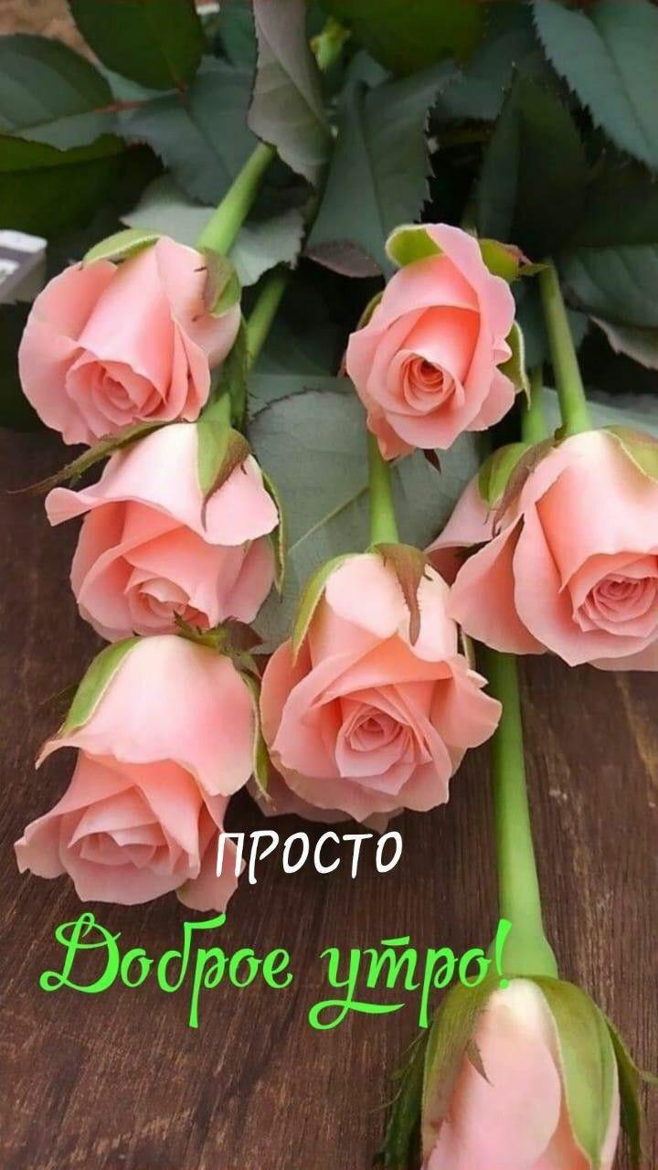 ***Victoria Viktorovna*** - 15  2021  03:54 - 2