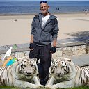 ���� Artur, ����, 62 ���� - ��������� 19 ������ 2021 � ������ ���� ����������