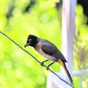 ���� Sezai, �����, 66 ��� - ��������� 18 ���� 2021 � ������ ������ ��������