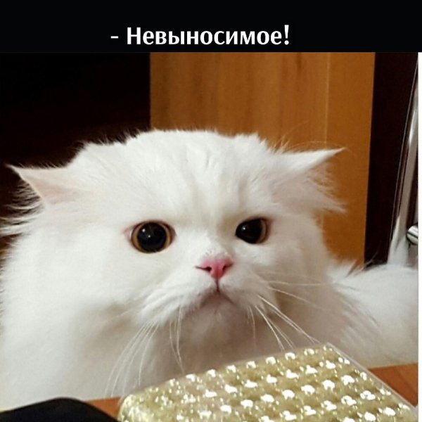   : - 2