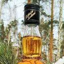 ���� Evg, ������ ��������, 55 ��� - ��������� 21 ������ 2022