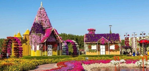 Самый большой в мире цветочный парк находится в Дубае. Miracle Garden. - 3
