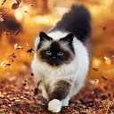 ���� ������, ������, 54 ���� - ��������� 6 �������� 2021 � ������ ���� ����������