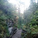 ���� ������, �����, 60 ��� - ��������� 29 ���� 2021 � ������ ������ ��������