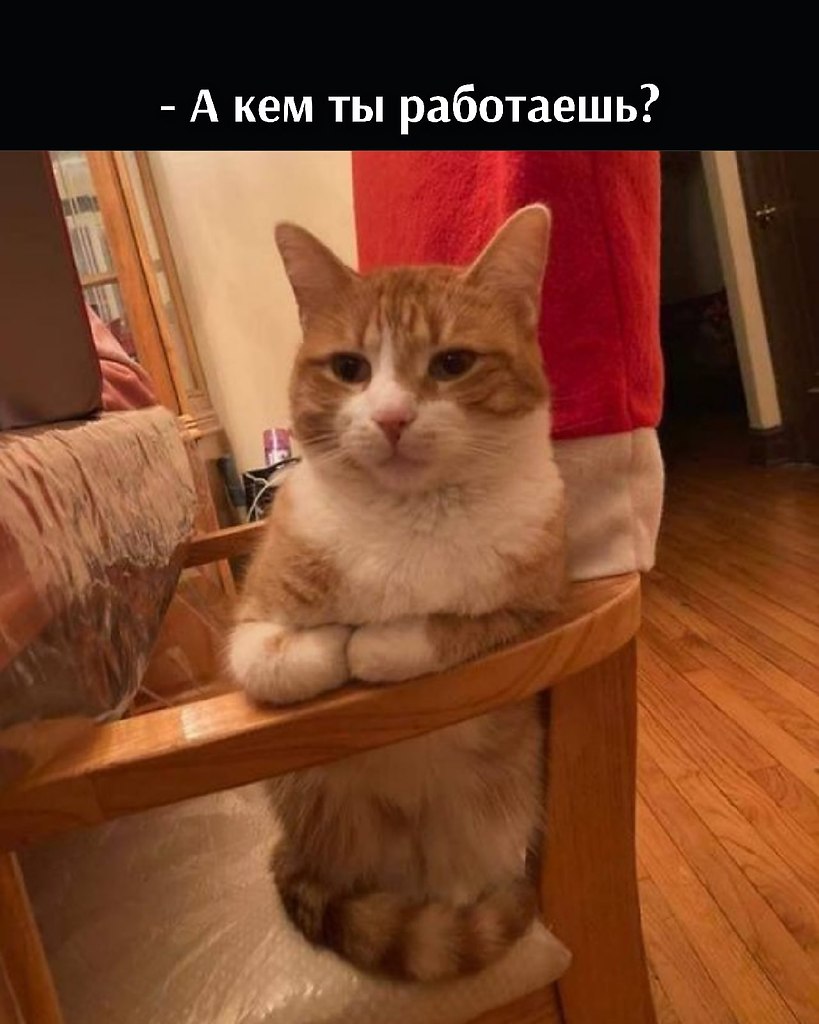       - 10  2021  22:12