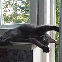 ���� ������, �����-���������, 52 ���� - ��������� 31 ������� 2021 � ������ ������ ��������