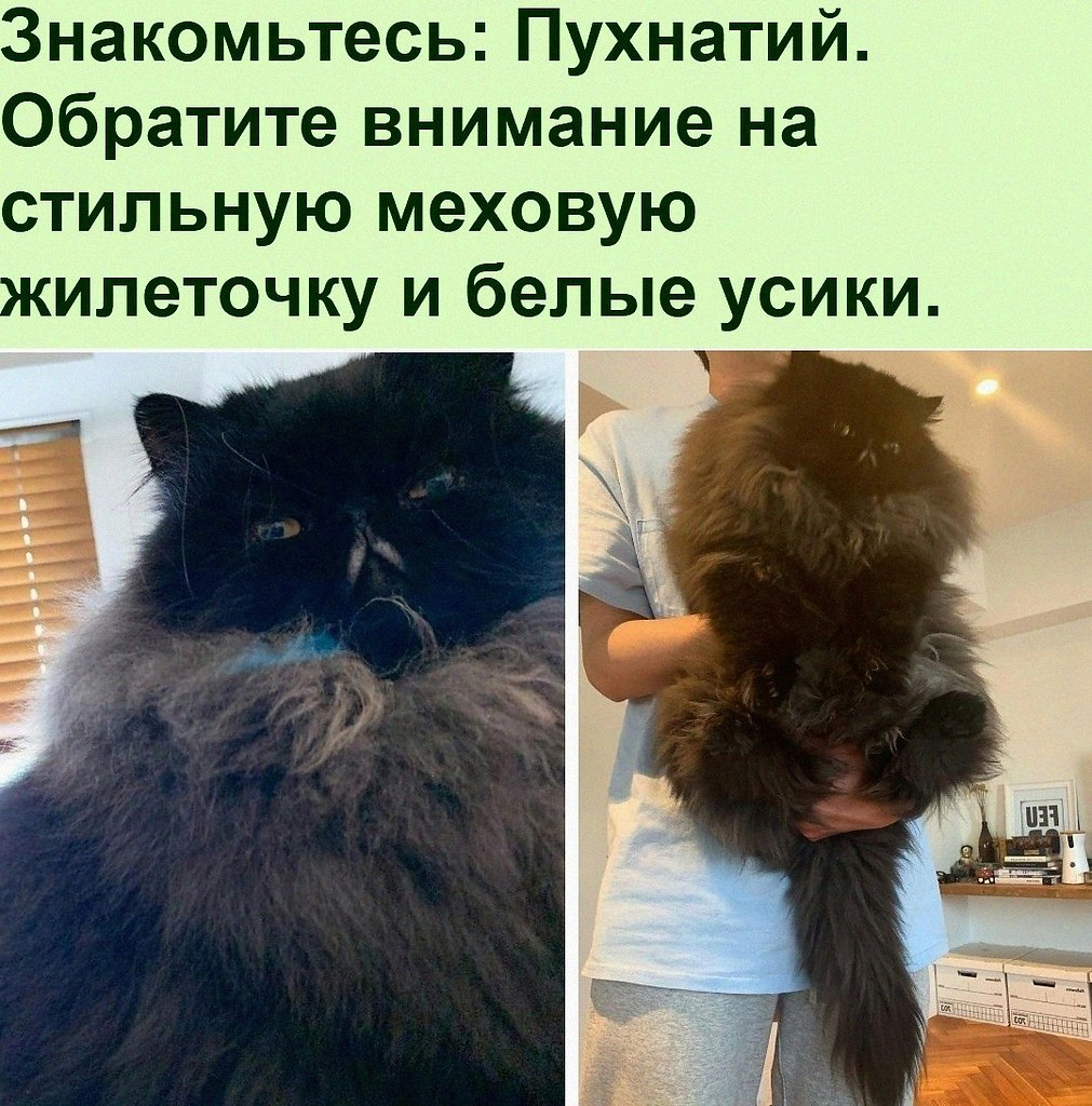    - )