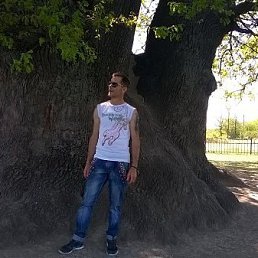 ���������, ��������, 51 ���