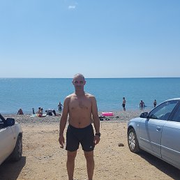 ���������, ����, 49 ���