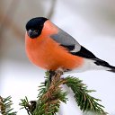 ���� Lusa, ��� - ��������� 16 ������� 2021 � ������ ���� ����������
