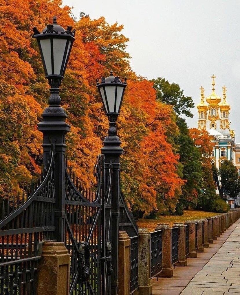 осень в парку в москве