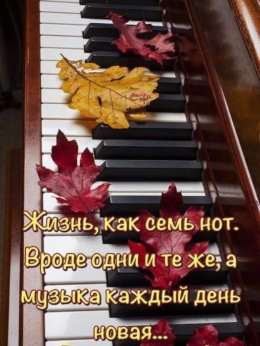 �������� ( �� �������� ��) - 4 ������ 2021 � 11:24