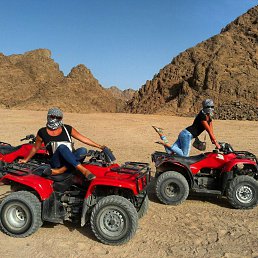 ���� �����, ������, 43 ���� - ��������� 28 ��� 2021