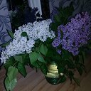 ��� ������� �����... �� ������� ���� ����������