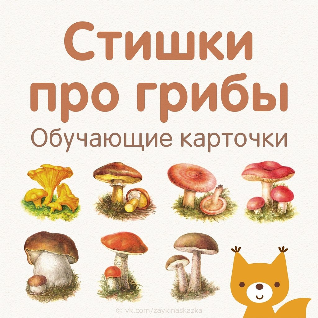 СТИШКИ ПРО ГРИБЫ - РЕЦЕПТЫ МЕНЮ БЛЮДА ДЛЯ ДЕТЕЙ, ПРИКОРМ МАЛЫШАМ ...