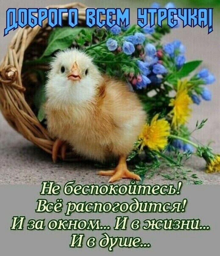   ,    . - 7  2021  23:40 - 6