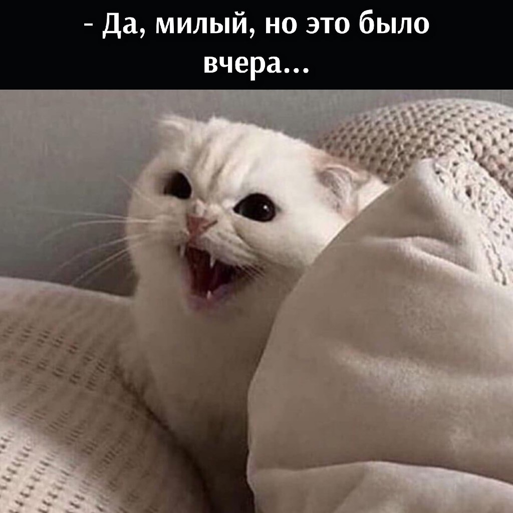 ��� ��������� �� ������: - 2