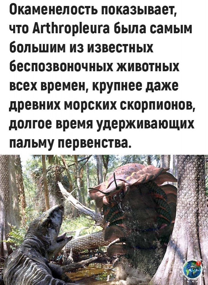 opoo, o a ceo  oaeeoc... - 3