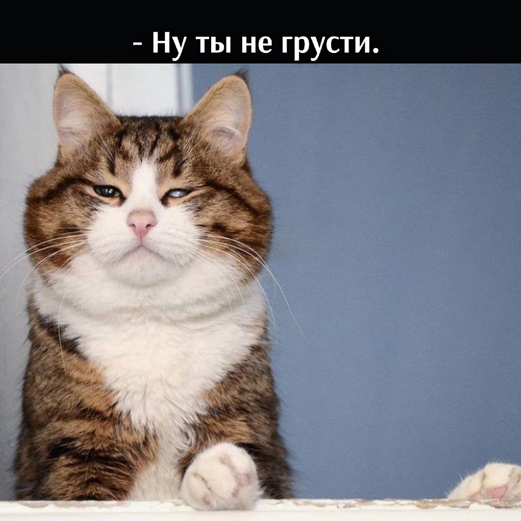       - 21  2021  16:34 - 3