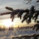 ���� ����, �������, 44 ���� - ��������� 26 ������ 2022 � ������ ���� ����������