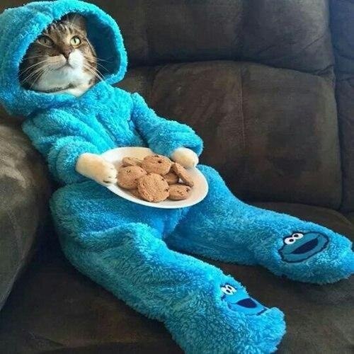,    :)