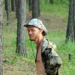 Nikoly, ���������� �����, 40 ���